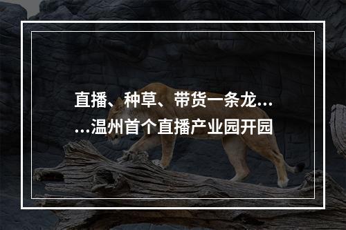 直播、种草、带货一条龙......温州首个直播产业园开园