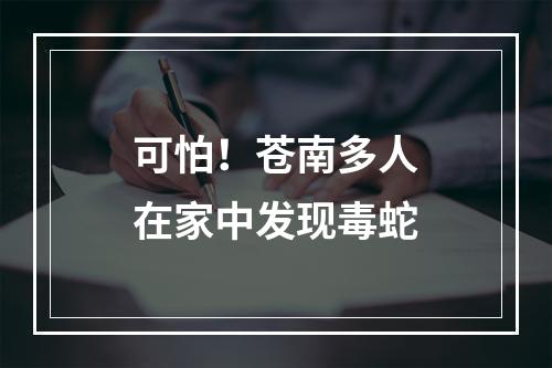 可怕！苍南多人在家中发现毒蛇