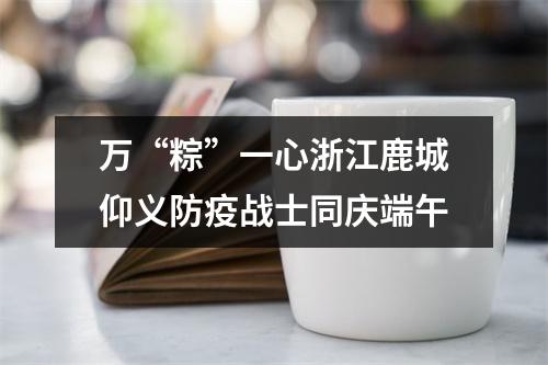 万“粽”一心浙江鹿城仰义防疫战士同庆端午