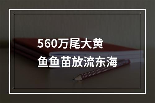 560万尾大黄鱼鱼苗放流东海