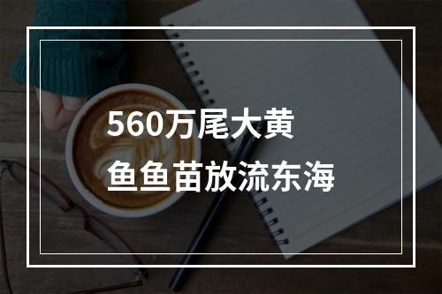 560万尾大黄鱼鱼苗放流东海