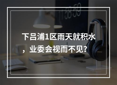 下吕浦1区雨天就积水，业委会视而不见？