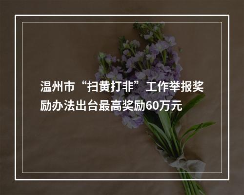 温州市“扫黄打非”工作举报奖励办法出台最高奖励60万元