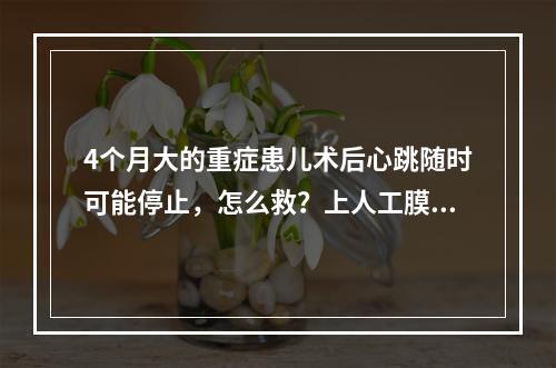 4个月大的重症患儿术后心跳随时可能停止，怎么救？上人工膜肺……