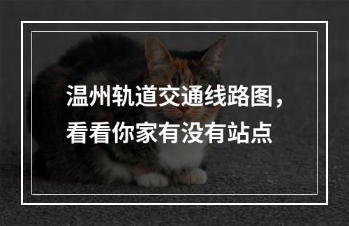 温州轨道交通线路图，看看你家有没有站点