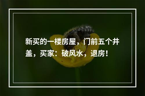 新买的一楼房屋，门前五个井盖，买家：破风水，退房！