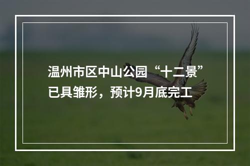 温州市区中山公园“十二景”已具雏形，预计9月底完工