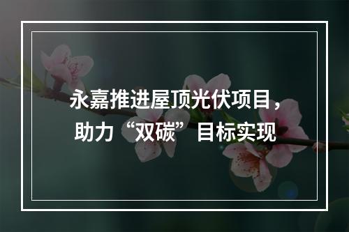 永嘉推进屋顶光伏项目， 助力“双碳”目标实现