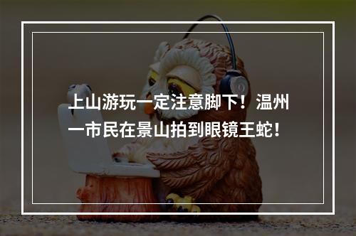 上山游玩一定注意脚下！温州一市民在景山拍到眼镜王蛇！