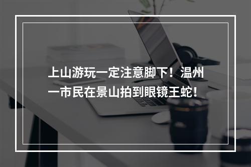 上山游玩一定注意脚下！温州一市民在景山拍到眼镜王蛇！
