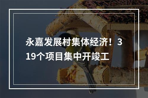 永嘉发展村集体经济！319个项目集中开竣工