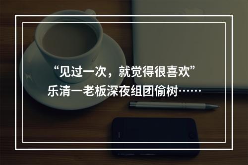 “见过一次，就觉得很喜欢”乐清一老板深夜组团偷树……