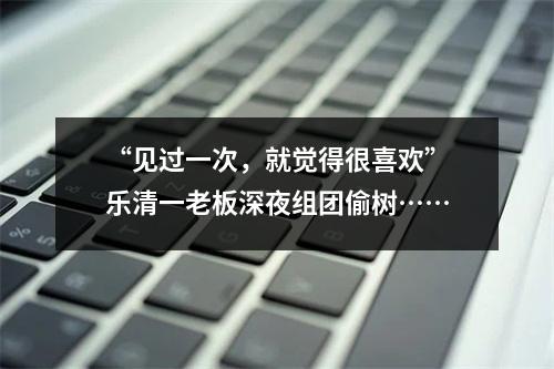 “见过一次，就觉得很喜欢”乐清一老板深夜组团偷树……