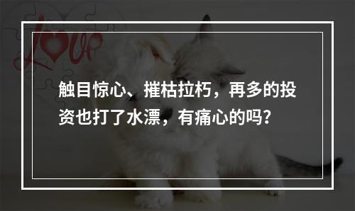 触目惊心、摧枯拉朽，再多的投资也打了水漂，有痛心的吗？