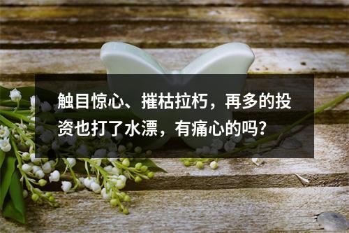 触目惊心、摧枯拉朽，再多的投资也打了水漂，有痛心的吗？