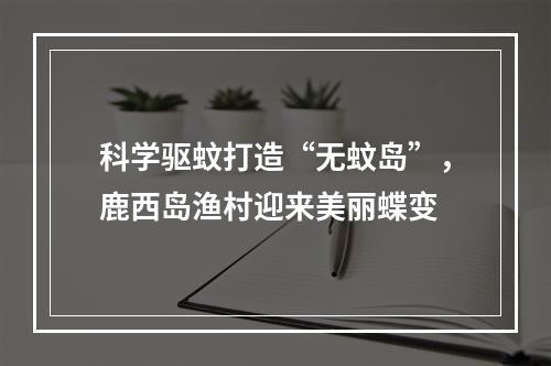 科学驱蚊打造“无蚊岛”，鹿西岛渔村迎来美丽蝶变