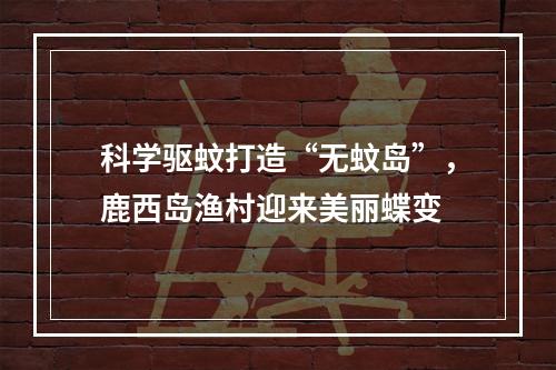 科学驱蚊打造“无蚊岛”，鹿西岛渔村迎来美丽蝶变