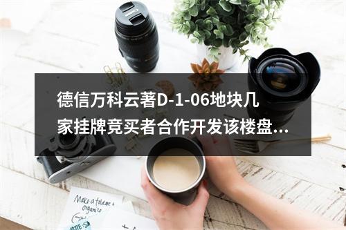 德信万科云著D-1-06地块几家挂牌竞买者合作开发该楼盘，请政府解释合法吗？正常吗？
