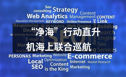 “净海”行动直升机海上联合巡航