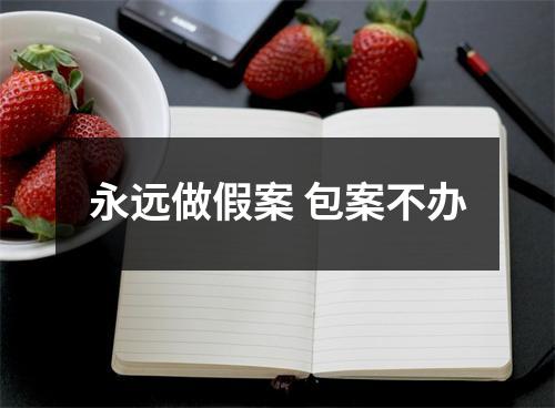 永远做假案 包案不办