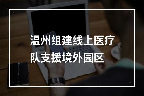 温州组建线上医疗队支援境外园区
