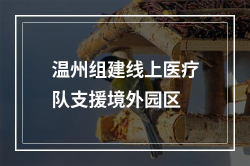 温州组建线上医疗队支援境外园区