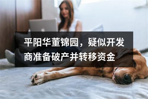 平阳华董锦园，疑似开发商准备破产并转移资金