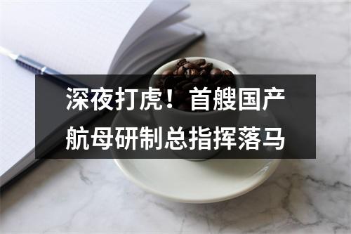 深夜打虎！首艘国产航母研制总指挥落马