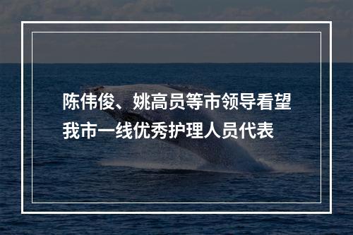 陈伟俊、姚高员等市领导看望我市一线优秀护理人员代表