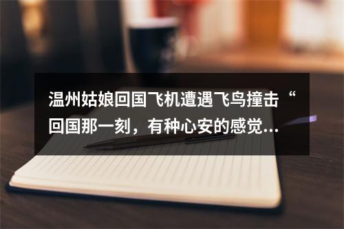 温州姑娘回国飞机遭遇飞鸟撞击“回国那一刻，有种心安的感觉”