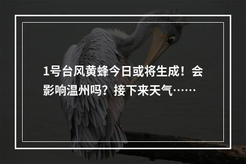 1号台风黄蜂今日或将生成！会影响温州吗？接下来天气……