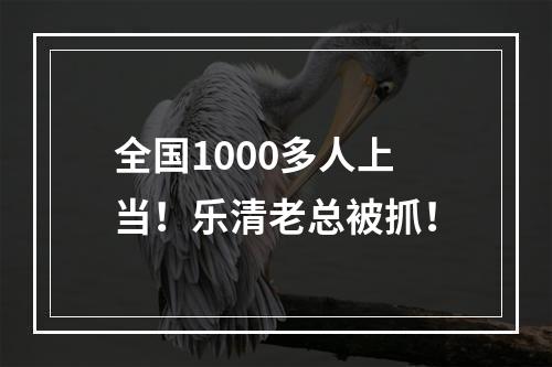 全国1000多人上当！乐清老总被抓！