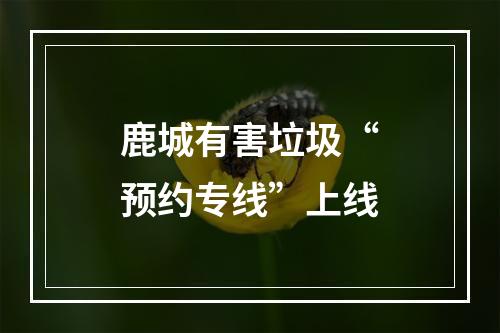 鹿城有害垃圾“预约专线”上线