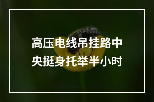 高压电线吊挂路中央挺身托举半小时