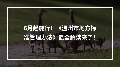 6月起施行！《温州市地方标准管理办法》最全解读来了！