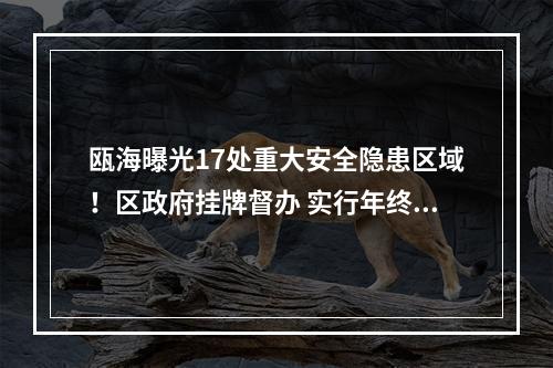 瓯海曝光17处重大安全隐患区域！区政府挂牌督办 实行年终考绩“一票否决”