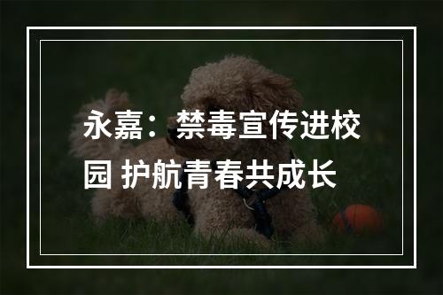 永嘉：禁毒宣传进校园 护航青春共成长