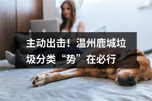 主动出击！温州鹿城垃圾分类“势”在必行