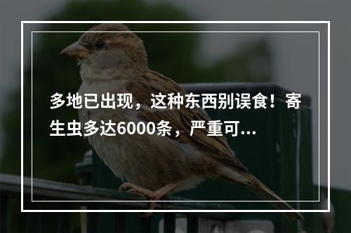 多地已出现，这种东西别误食！寄生虫多达6000条，严重可致死！