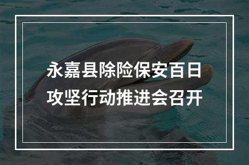 永嘉县除险保安百日攻坚行动推进会召开