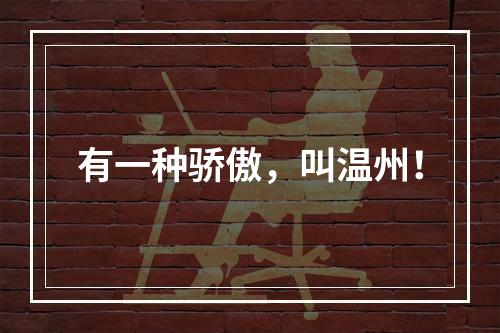 有一种骄傲，叫温州！