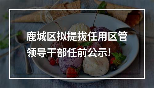 鹿城区拟提拔任用区管领导干部任前公示!