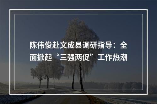 陈伟俊赴文成县调研指导：全面掀起“三强两促”工作热潮