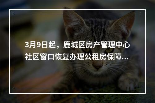 3月9日起，鹿城区房产管理中心社区窗口恢复办理公租房保障业务