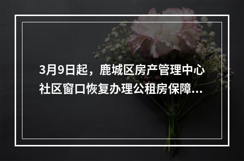 3月9日起，鹿城区房产管理中心社区窗口恢复办理公租房保障业务