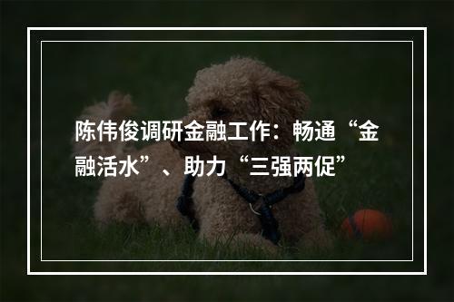 陈伟俊调研金融工作：畅通“金融活水”、助力“三强两促”