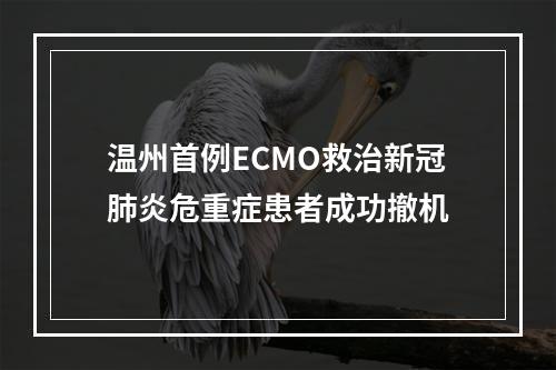 温州首例ECMO救治新冠肺炎危重症患者成功撤机