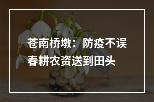 苍南桥墩：防疫不误春耕农资送到田头