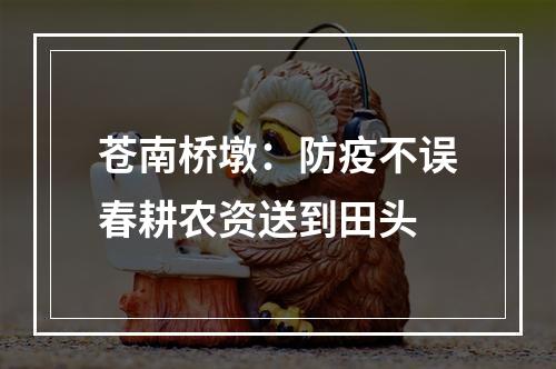 苍南桥墩：防疫不误春耕农资送到田头