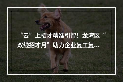 “云”上招才精准引智！龙湾区“双线招才月”助力企业复工复产